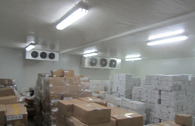 -18~-25℃冷冻榴莲肉冷库设备,冷库造价及耗电量多少/天
