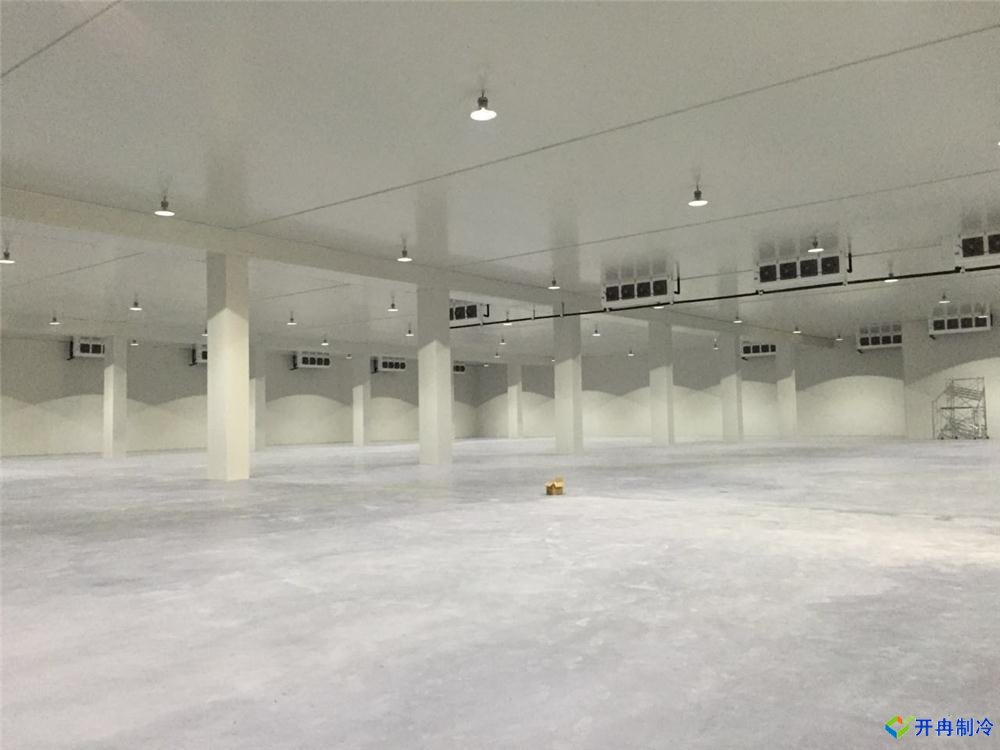 浙江建-60℃金枪鱼超低温冷库,冷库总价预算多少